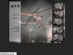 Sites similar to chaozhuowang.com