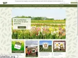 Sites similar to chapeaudepaille.fr