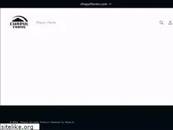 Sites similar to chapul.com