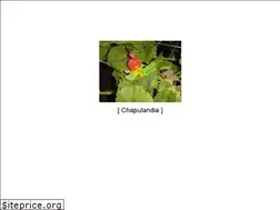 Sites similar to chapus.net