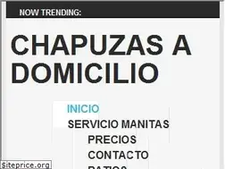 Sites similar to chapuzasadomicilio.es