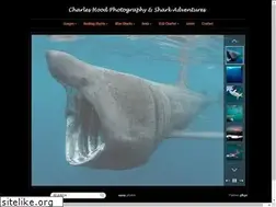 Sites similar to charleshood.com