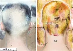 Sites similar to charlielemindu.com