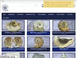 Sites similar to charmouthfossils.co.uk