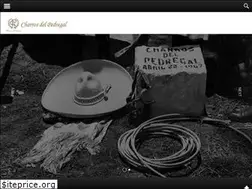 Sites similar to charrosdelpedregal.mx
