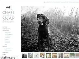 Sites similar to chaseandsnap.com