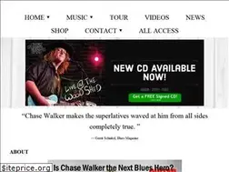 Sites similar to chasewalkerband.com