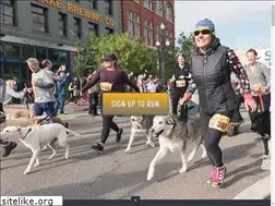 Sites similar to chasingtailrun.com