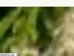 Sites similar to chateau-haut-peyrat.com
