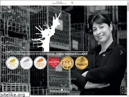 Sites similar to chateaumeillant.com