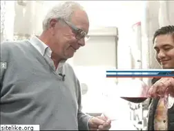 Sites similar to chateaupotelle.com