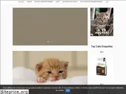 Sites similar to chatfaitdubien.fr