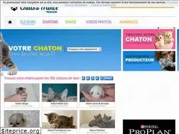 Sites similar to chats-de-france.com