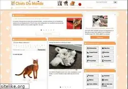 Sites similar to chatsderace.com