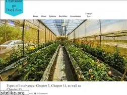 Sites similar to chattanoogadaylilies.com