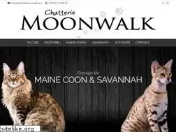 Sites similar to chatteriemoonwalk.com