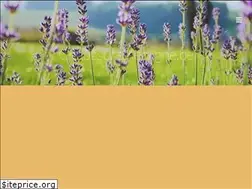 Sites similar to chaussures-enligne.be