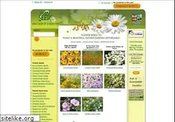 Sites similar to cheapseeds.com