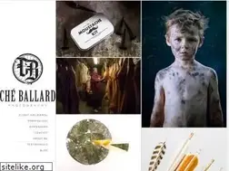 Sites similar to cheballard.com