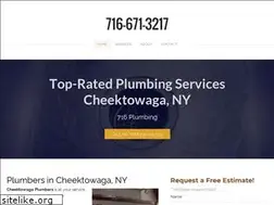 Sites similar to cheektowaga-plumbers.com