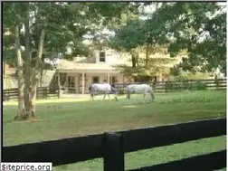 Sites similar to cheesecakefarms.com