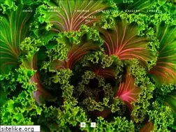 Sites similar to chefkevinbrothers.com
