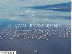 Sites similar to chelipeacock.com