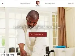 Sites similar to chelseacleaning.co.za