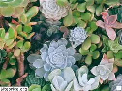 Sites similar to chelseamdavis.net