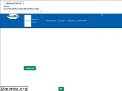 Sites similar to chemdry.com.mx