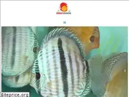 Sites similar to chensdiscus.co.uk