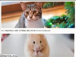 Sites similar to cheriee.jp