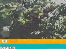 Sites similar to cherries.global