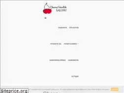 Sites similar to cherryguzelliksalonu.com