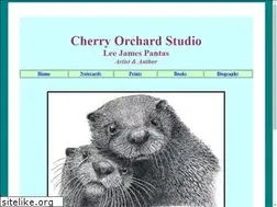 Sites similar to cherryorchardstudio.com