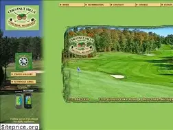 Sites similar to chestnutgolf.com