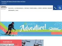 Sites similar to chestnutmtn.com