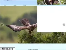Sites similar to chetanrangaraj.com