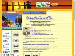 Sites similar to chiangmai-carnival.com
