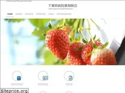 Sites similar to chiba-hp.jp