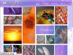 Sites similar to chibaship.co.jp
