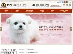 Sites similar to chibikko-gang.net