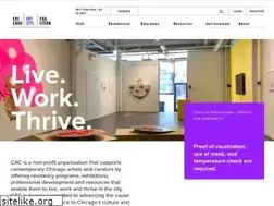 Sites similar to chicagoartistscoalition.org