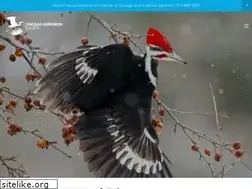 Sites similar to chicagoaudubon.org