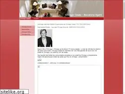 Sites similar to chicagocasas.net