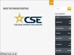 Sites similar to chicagocheetahs.com