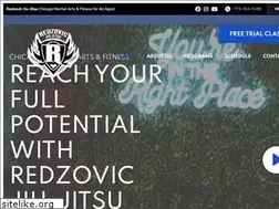 Sites similar to chicagojiujitsu.com