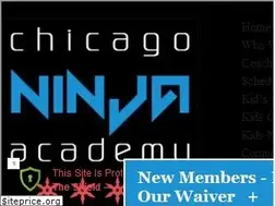 Sites similar to chicagoninjaacademy.com