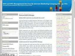 Sites similar to chicagoseocompany.blogspot.com