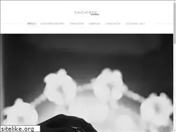 Sites similar to chicfotocinema.com